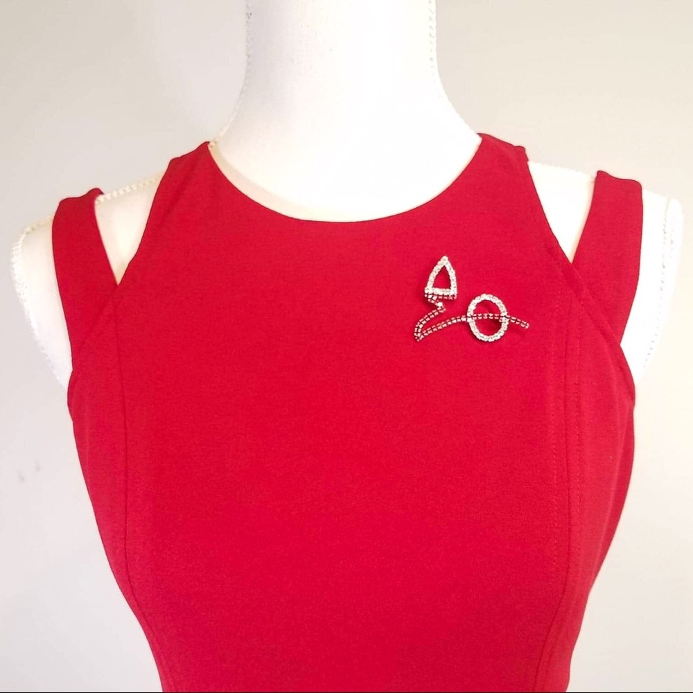 Delta Sigma Theta Brooch encased rhinestone DST - Picture 3 of 3